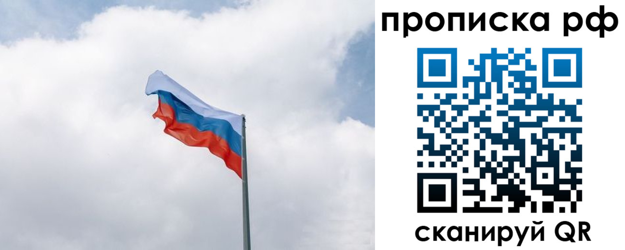 прописка гарантия в Сертолово